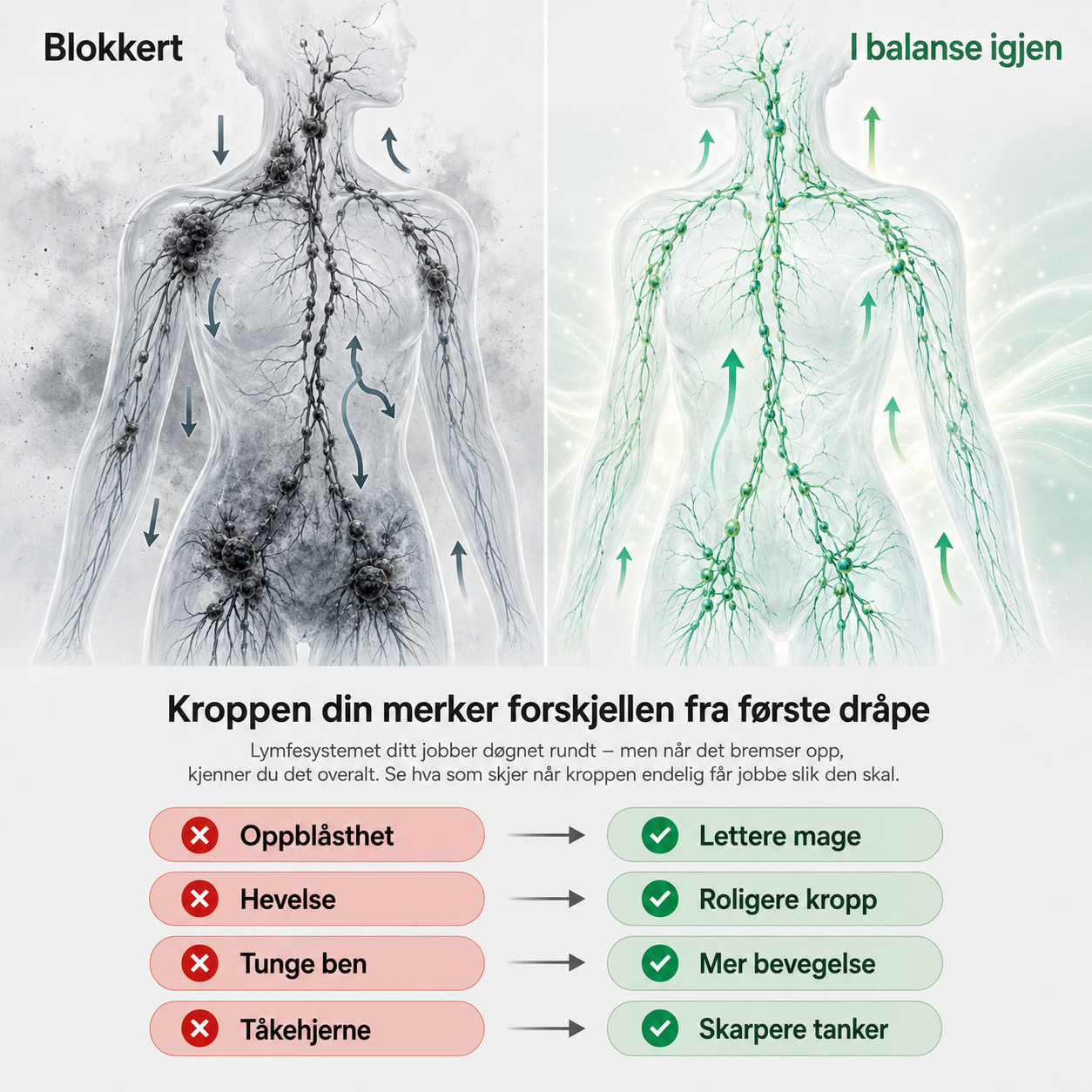 Lymfedrenerende velværedråper™