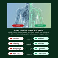 Lymphatic Drainage Wellness Drops™
